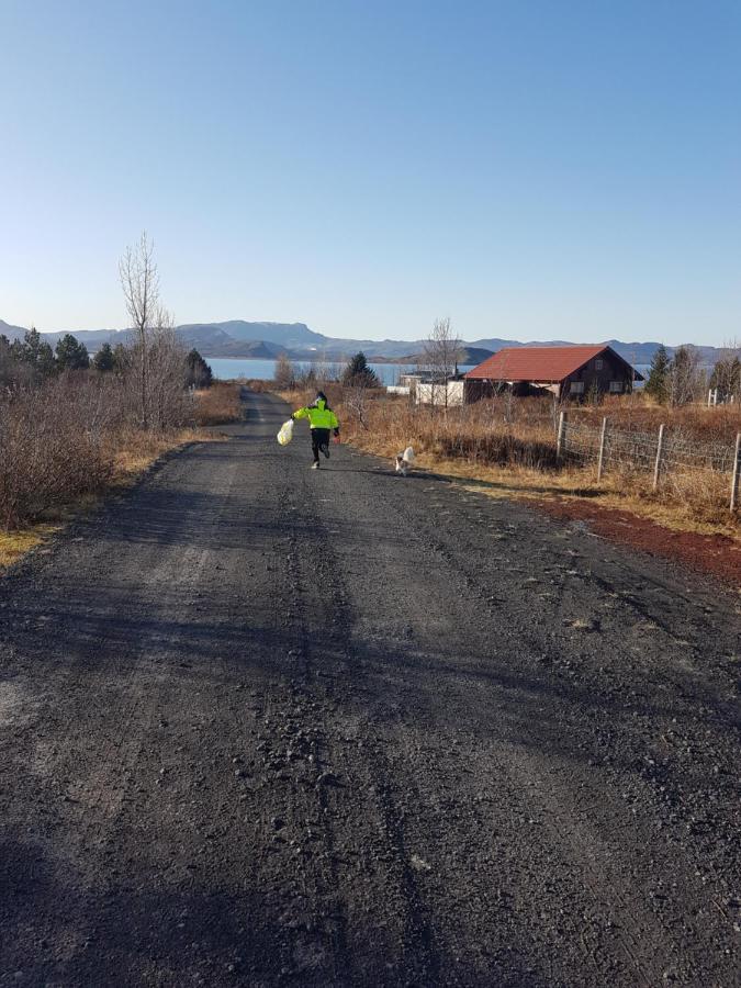 Thingvellir Lake Cottage Veithilundur ภายนอก รูปภาพ