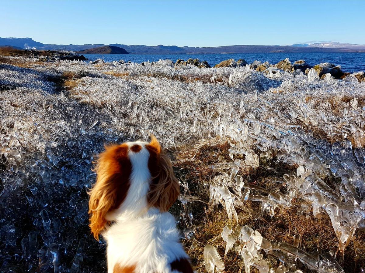 Thingvellir Lake Cottage Veithilundur ภายนอก รูปภาพ