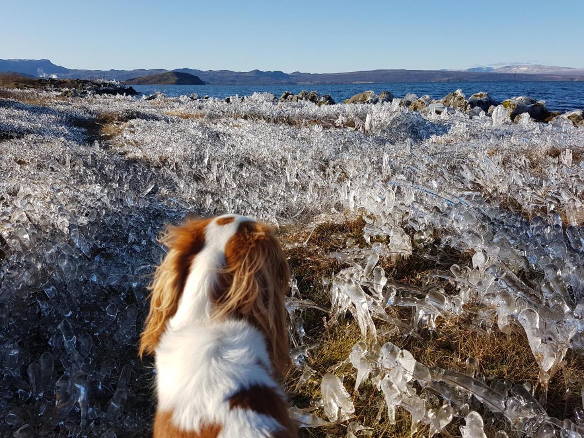 Thingvellir Lake Cottage Veithilundur ภายนอก รูปภาพ