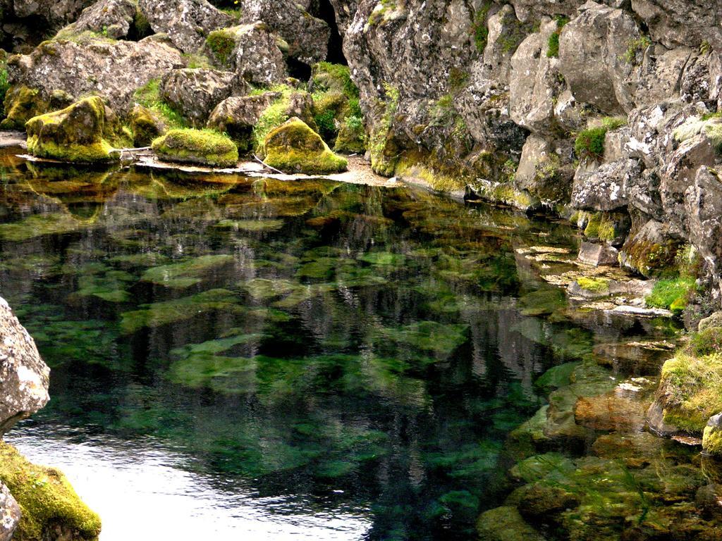 Thingvellir Lake Cottage Veithilundur ห้อง รูปภาพ